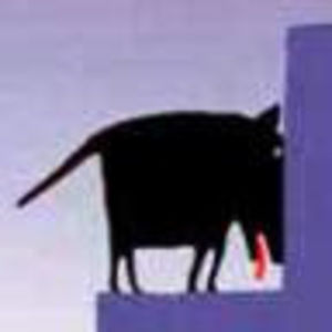 Meet your Posher, Max